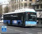 Городские автобусы Мадрида